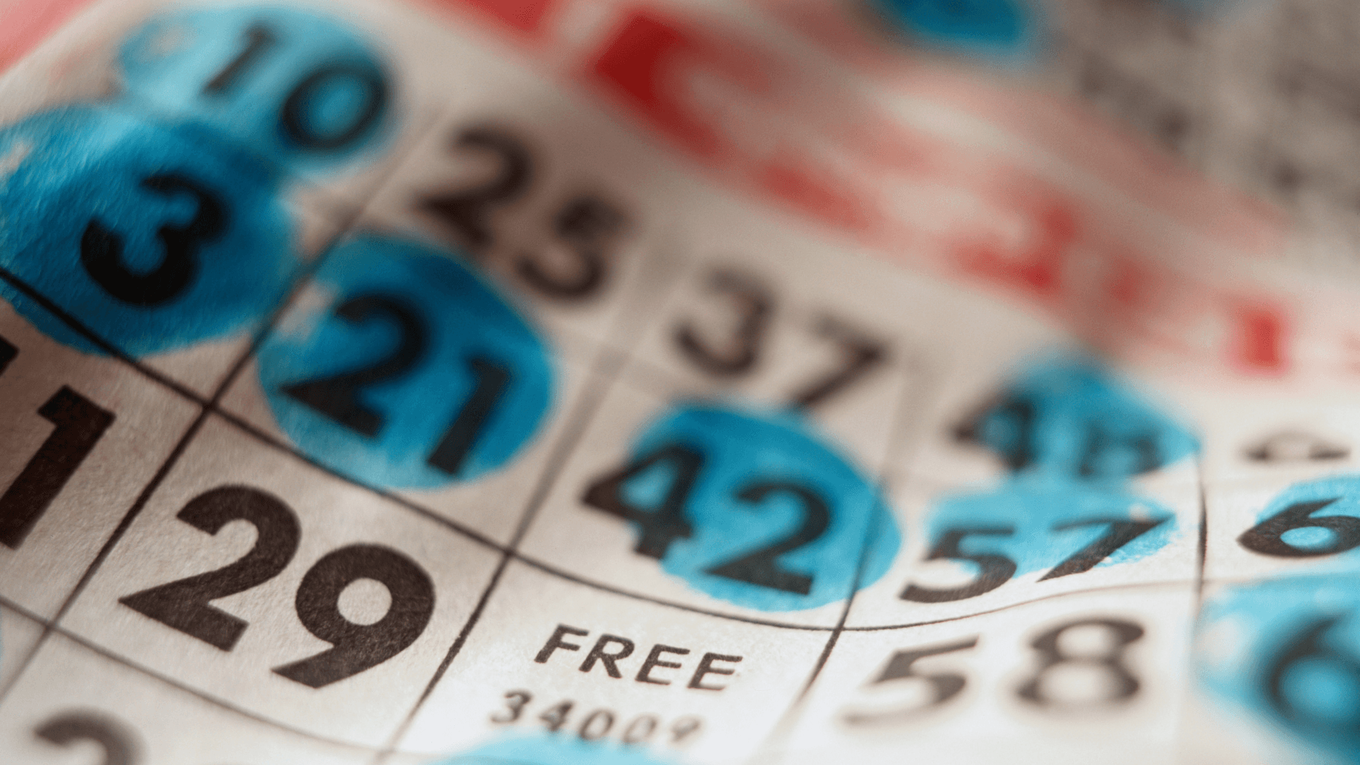 关于在线宾果卡和电话的一切 image