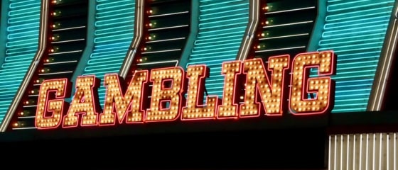Samosa Casino Gives Gamblers Valid Reasons to Play On